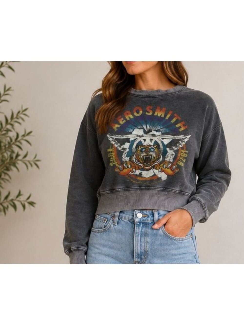 Aerosmith 1979 Cropped Distressed Graphic Sweatshirt Gray Vintage Wash Size Smal